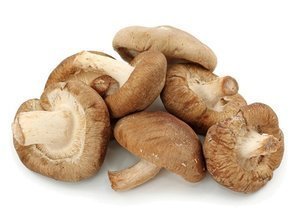 Image of Shitake Mushroom (Sold per Pack) from Supplybunny.com