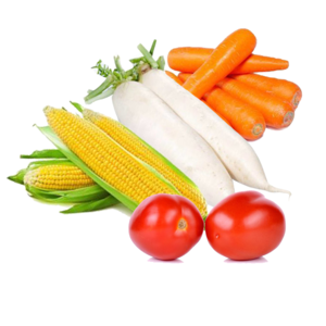 Image of Vegetables Combo Set 5 (Items in Description) from Supplybunny.com