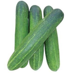 Image of Cucumber 250g/pack (Sold per Pack) from Supplybunny.com