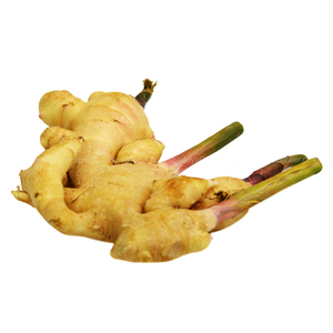 Image of Young Ginger 250g/pack (Sold per Pack) from Supplybunny.com