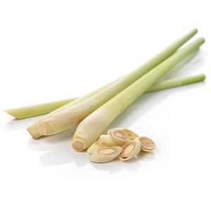 Image of Lemongrass 9 pcs/pack (Sold per Pack) from Supplybunny.com