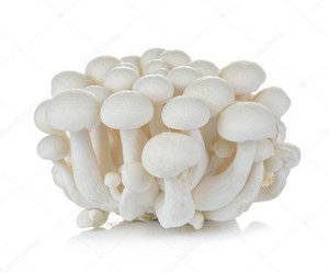 Image of White Shimeji Mushroom (Sold per Pack) from Supplybunny.com