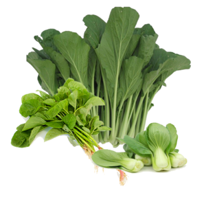 Image of Vegetables Combo Set 1 (Items in Description) from Supplybunny.com