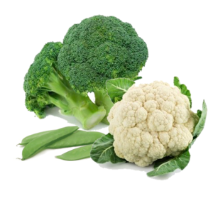 Image of Vegetables Combo Set 3 (Items in Description) from Supplybunny.com