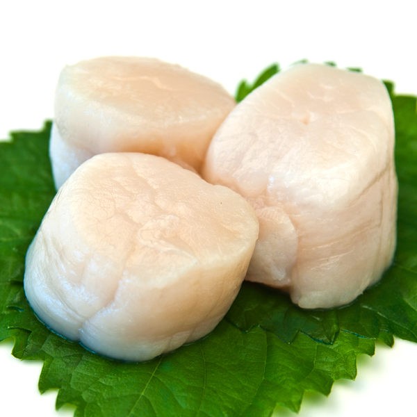Frozen Hokkaido Scallop Meat 20/30 (Sold per Kg) — HORECA Suppliers