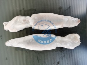 Image of Argentina Squid 200g-300g per Piece , 2pcs / set (Sold per set) from Supplybunny.com