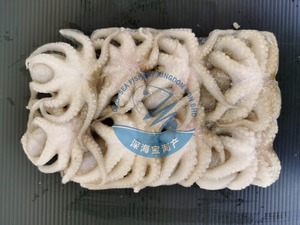 Image of Baby Octopus 8 to 10 Pieces per Pack (Sold per Pack) from Supplybunny.com
