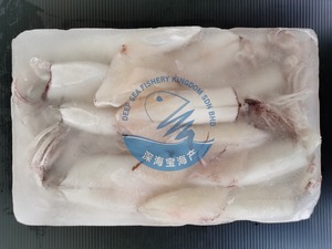 Image of Loligo Squid (Whole Clean) 1kg per Block (Sold per Block) from Supplybunny.com