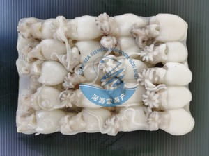 Image of Cuttlefish 200g nw- per Piece (Sold per block) from Supplybunny.com