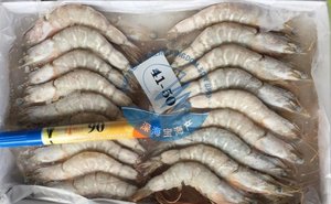 Image of Sea White Prawn S Size 41 / 50 , 29 to 35 Pieces per Block (Sold per Block) from Supplybunny.com