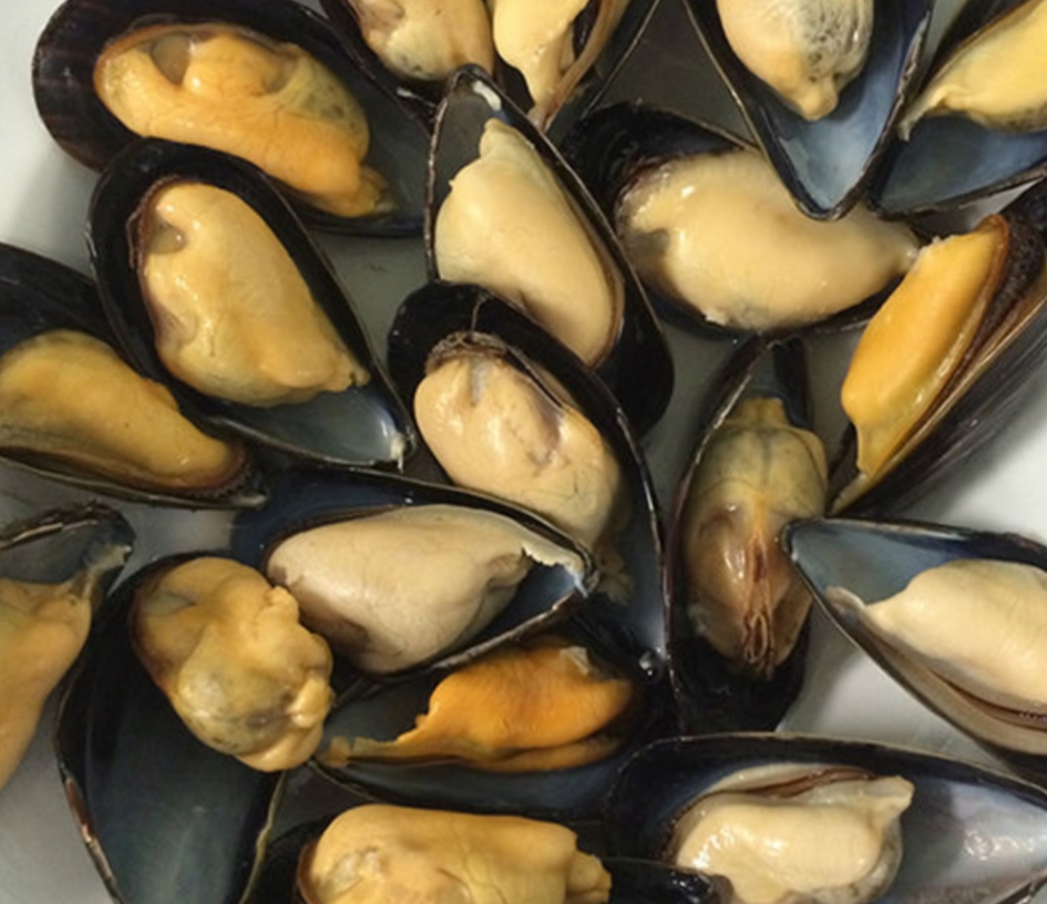 Half Shell Blue Mussel 800907g/pack (Sold per Pack) — HORECA Suppliers