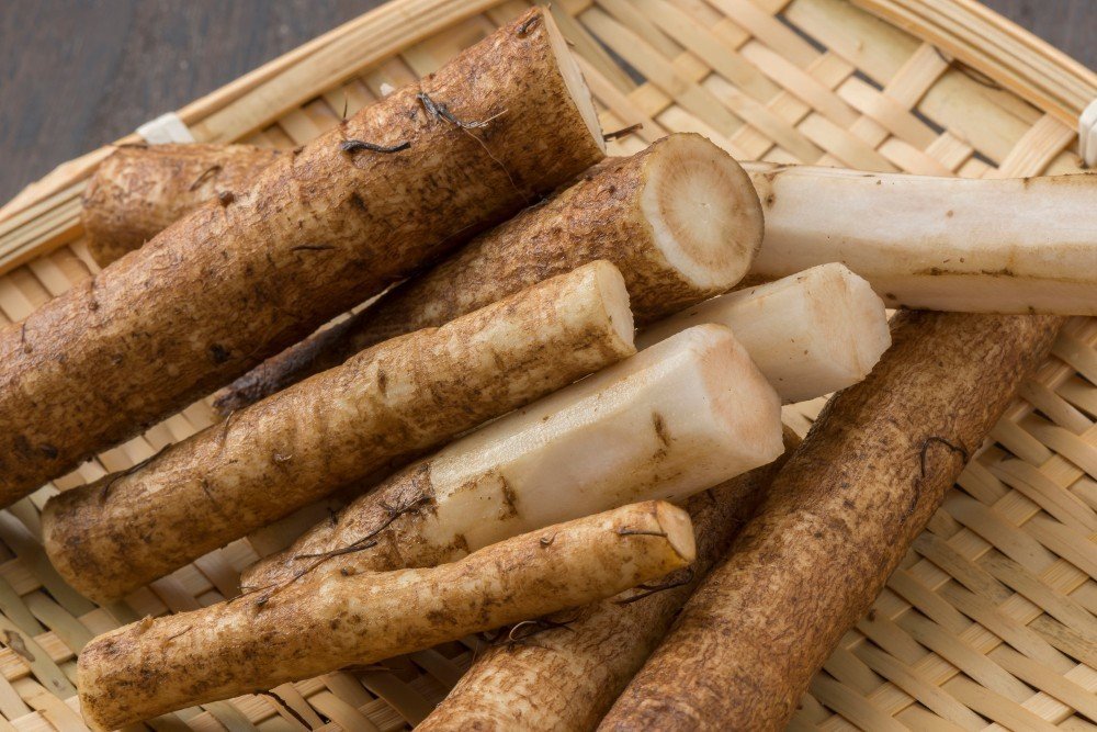 Gobo / Burdock Root (Sold per Kg) — HORECA Suppliers Supplybunny