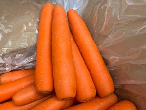 Image of Organic Carrot 300g/pack (Sold per Pack) from Supplybunny.com