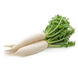 Image of Organic Radish 500g/pack (Sold per Pack) from Supplybunny.com