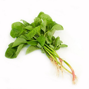 Image of Organic Green Bayam 250g/pack (Sold per Pack) from Supplybunny.com