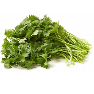 Image of Organic Coriander 100g/pack (Sold per Pack) from Supplybunny.com