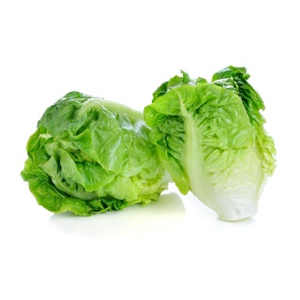 Image of Organic Short Lettuce 250g/pack (Sold per Pack) from Supplybunny.com