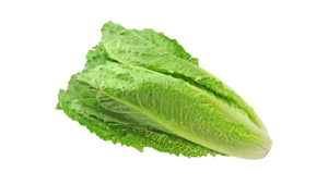 Image of Organic US Lettuce 250g/pack (Sold per Pack) from Supplybunny.com