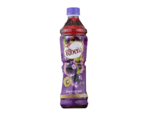 Image of Ribena PET Regular 350ml/bottle (24 bottles per carton) from Supplybunny.com