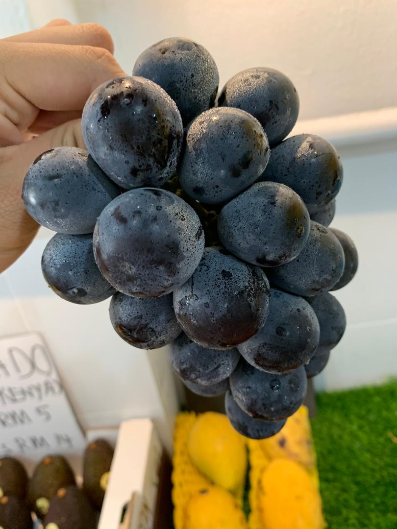 Korean Premium Kyoho Grape 450g/pack (Sold per Pack) — HORECA Suppliers