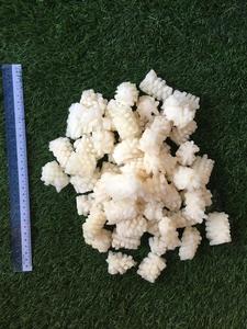 Image of Frozen Squid Flower 1kg/pack (sold per pack) from Supplybunny.com