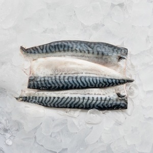 Image of Frozen Norway Saba Fillet (3pcs) 500g±/pack (sold per pack) from Supplybunny.com