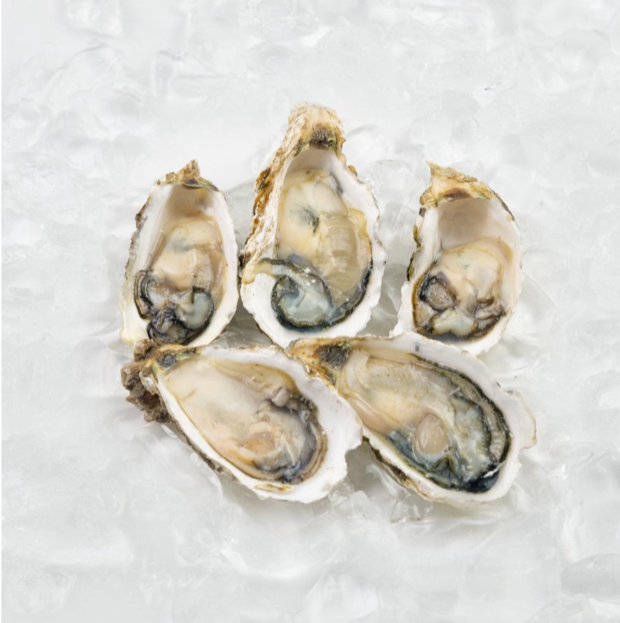 Frozen Japan Half Shell Oyster 810cm (10 Pcs) 800g/pack (Sold per Pack