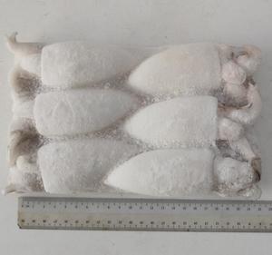 Image of Frozen Cuttle Fish (2-3 Pcs) 600g/pack (Sold per Pack) from Supplybunny.com