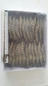 Image of Frozen Tiger Prawn 51/60 (Grade AA) 700g/pack (Sold per Pack) from Supplybunny.com
