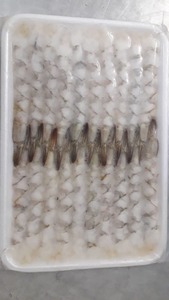 Image of Frozen Nobashi Ebi (21/25) 300g/pack (Sold per Pack) from Supplybunny.com