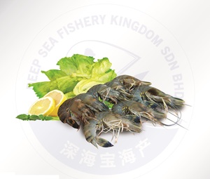Image of Black Tiger Prawn HOSO 26/30, semi block 700g/block (10 blocks per carton) from Supplybunny.com