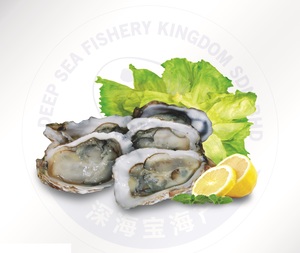 Image of Half Shell Oyster 10cm-12cm, IQF 120pieces/carton (sold per carton) from Supplybunny.com