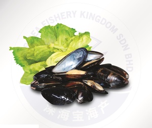 Image of Frozen Full Shell Blue Mussel - Chille 1kg/pack (5 packs per carton) from Supplybunny.com