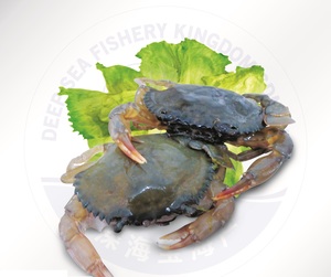 Image of Soft Shell Crab 80-100g, 30% glazing 10kg/carton (sold per carton) from Supplybunny.com