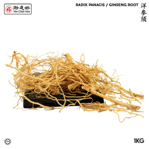 Image of YCH Herbs 洋参须 Radix Panacis / Ginseng Root (1KG/pack) (Sold per Pack) from Supplybunny.com