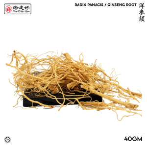 Image of YCH Herbs 洋参须 Radix Panacis / Ginseng Root (40g/pack) (Sold per Pack) from Supplybunny.com
