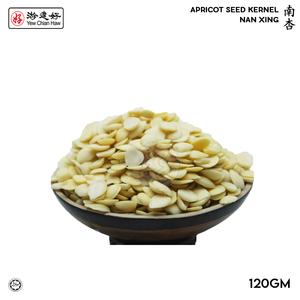 Image of YCH Herbs 南杏 Apricot Seed Kernel Nan Xing (120g/pack) (Sold per Pack) from Supplybunny.com