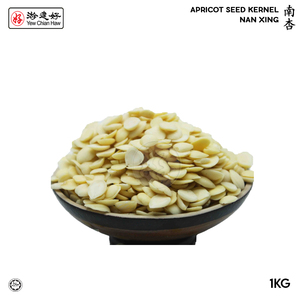 Image of YCH Herbs 南杏 Apricot Seed Kernel Nan Xing (1KG/pack) (Sold per Pack) from Supplybunny.com