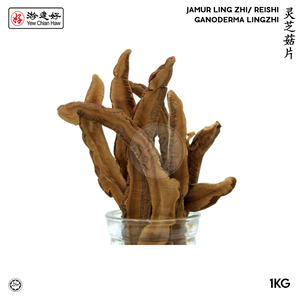 Image of YCH Herbs 灵芝菇片 Cendawan Ling Zhi/ Ganoderma Lingzhi / Reishi (1KG/pack) (Sold per Pack) from Supplybunny.com