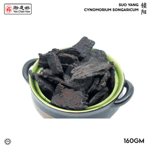 Image of YCH Herbs 锁阳 Cynomorium songaricum / Suo Yang (160g/pack) (Sold per Pack) from Supplybunny.com
