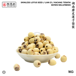 Image of YCH Herbs 湖南磨皮蓮子袋裝 Skinless Lian Zi / Lotus Seed / Kacang Teratai (1KG/pack) (Sold per Pack) from Supplybunny.com