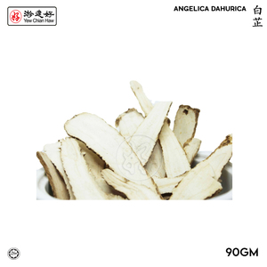 Image of YCH Herbs 白芷 Angelica Dahurica (90g/pack) (Sold per Pack) from Supplybunny.com