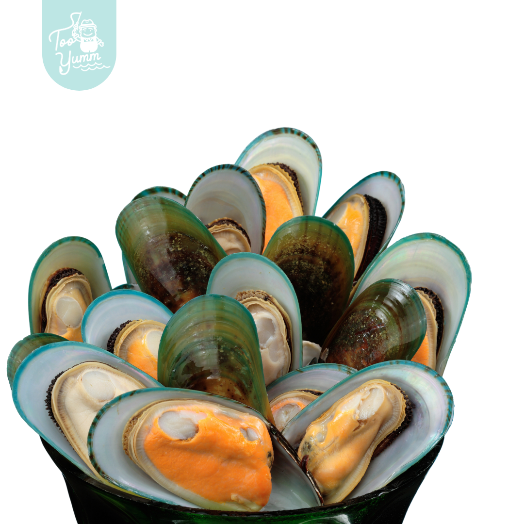 New Zealand Half Shell Mussel 新西兰 900g per pack (Sold Per Pack