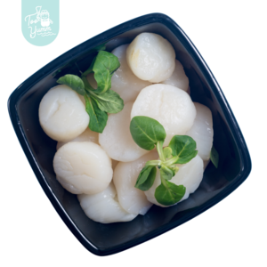 Image of Atlantic Scallop 大西洋带子 450g per pack (Sold Per Pack) from Supplybunny.com