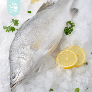Image of Barramundi 澳洲石甲 (Whole) 400g-600g per pack (Sold Per Pack) from Supplybunny.com