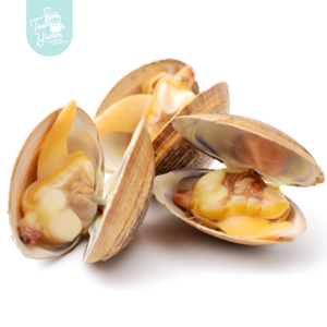 Image of Boiled Clam 熟蛤 500g per pack (Sold Per Pack) from Supplybunny.com