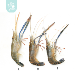 Image of Freshwater Prawn Large 生虾 1kg per pack (Sold Per Pack) from Supplybunny.com