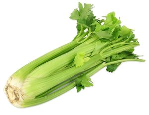Image of Celery (sold per kg) from Supplybunny.com