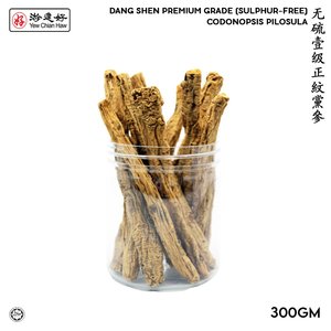 Image of YCH Herbs 无硫壹级正紋黨參袋裝 (300克)  Sulphur Free Dang Shen Premium Grade (300g Pack) Codonopsis Pilosula (2 years shelf life) HALAL from Supplybunny.com