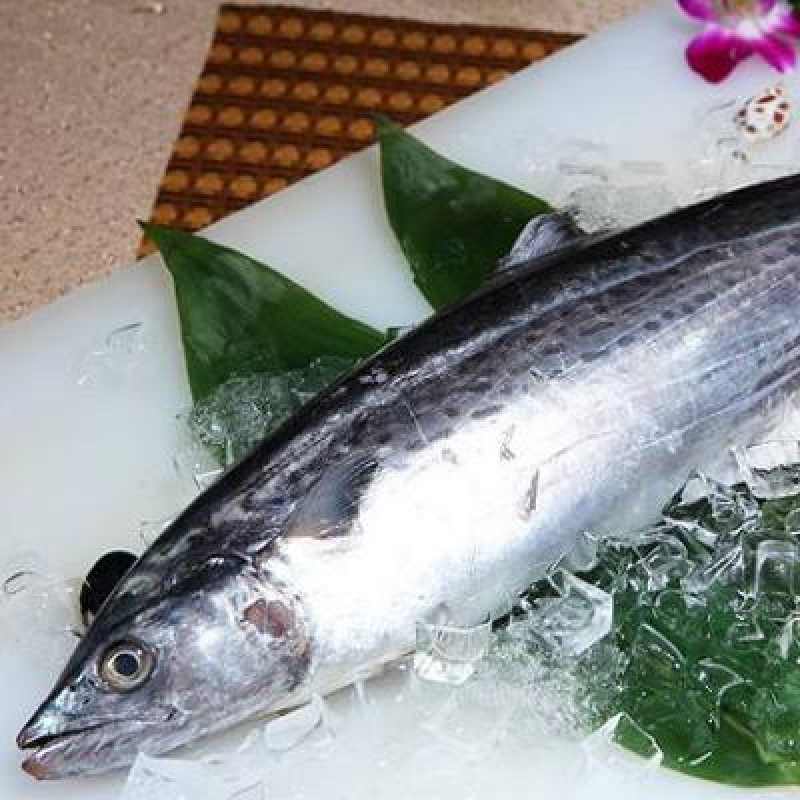 Ikan Tenggiri Bunga Spotted Spanish Mackerel Xl 1kg Per Pack Sold Per Pack Horeca Suppliers Supplybunny Ikan Tenggiri Bunga Spotted Spanish Mackerel Xl 1kg Per Pack Sold Per Pack Horeca Suppliers Supplybunny